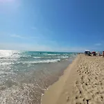 Enjoy By Vivimy